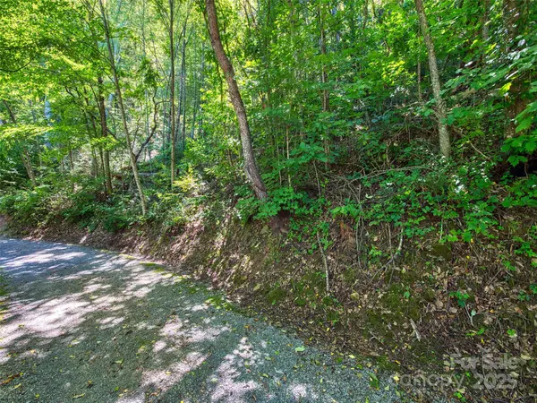 00 Yellow Locust DR, Waynesville, NC 28786