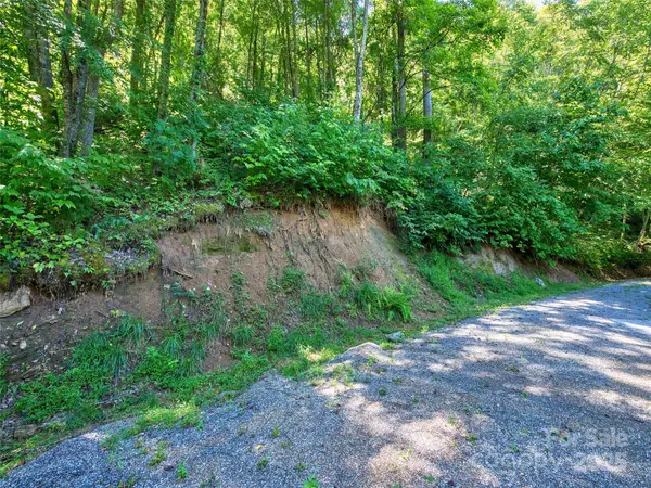 00 Yellow Locust DR, Waynesville, NC 28786