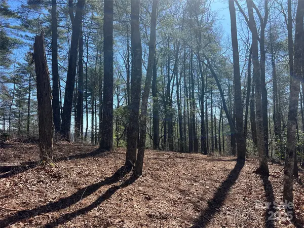 TBD Panther Ridge RD, Lake Toxaway, NC 28747