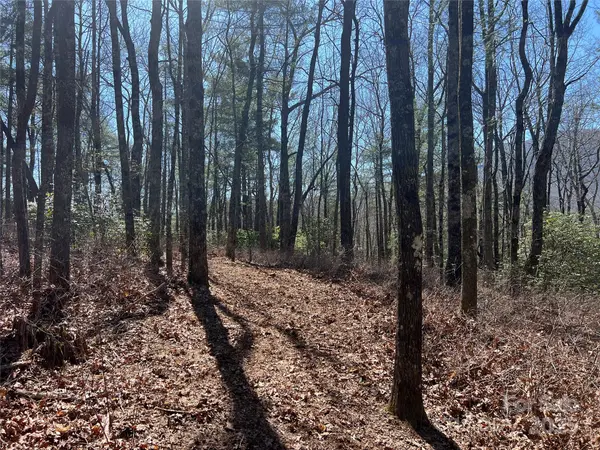 TBD Panther Ridge RD, Lake Toxaway, NC 28747