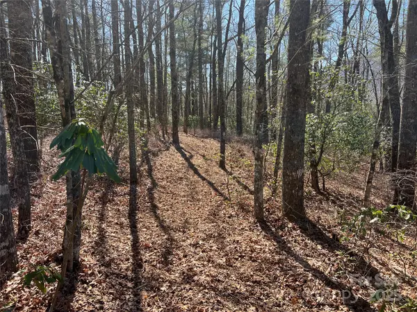 TBD Panther Ridge RD, Lake Toxaway, NC 28747