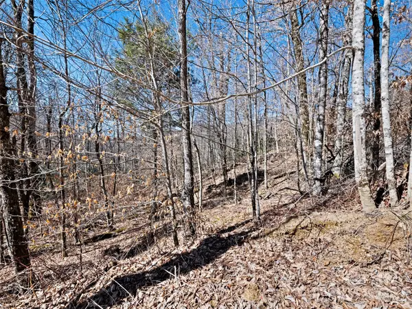 Lots 5,6,7 Spruce Flats RD, Maggie Valley, NC 28751