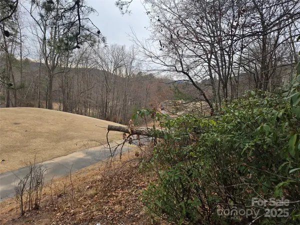 Lot 28 Roundabout RD, Lake Lure, NC 28746