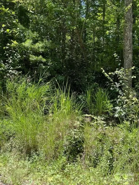 0 Pleasant Grove Church RD #3A, Hendersonville, NC 28792