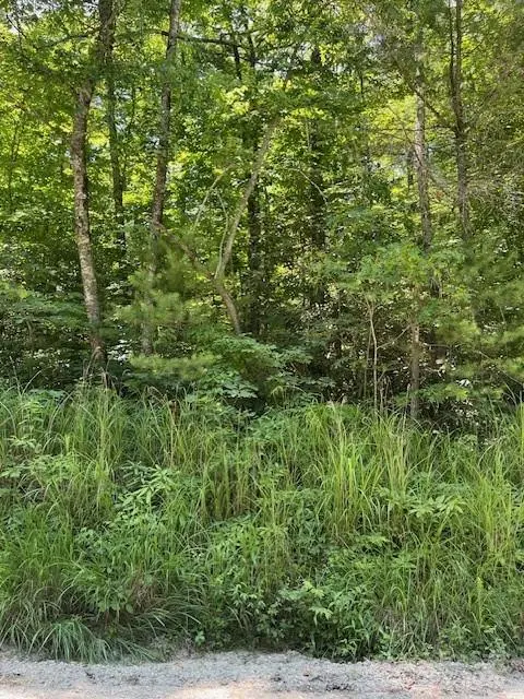 0 Pleasant Grove Church RD #3A, Hendersonville, NC 28792