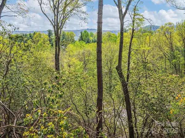 Lot #56 Winterberry DR, Hendersonville, NC 28739