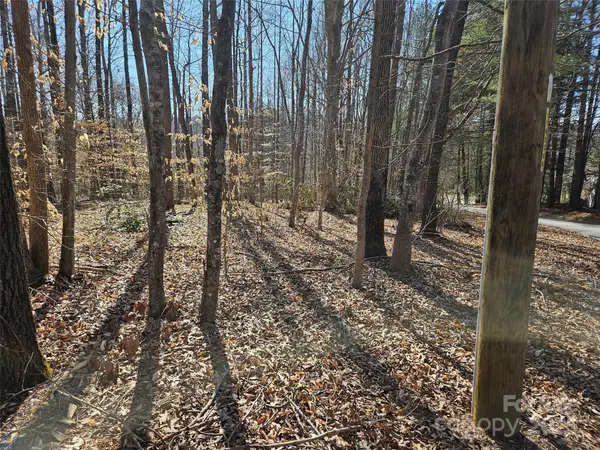 0 General Griffith CIR #35 & 37, Rutherfordton, NC 28139