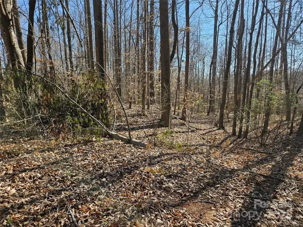0 General Griffith CIR #35 & 37, Rutherfordton, NC 28139