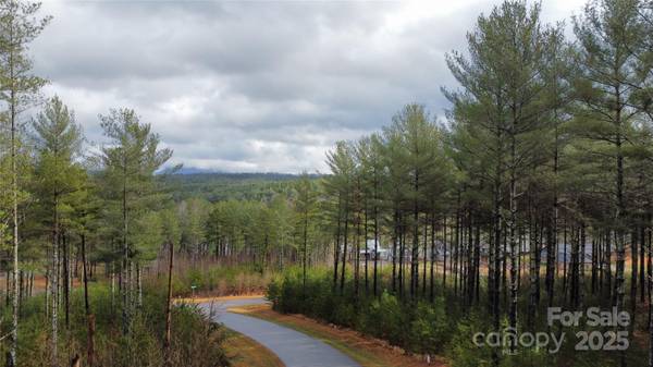 26 Peninsula Reserve RD #26, Nebo, NC 28761