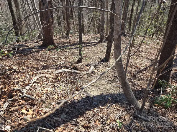 Lot 57 Banjo CT, Lake Lure, NC 28746