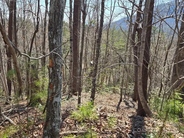 Lot 57 Banjo CT, Lake Lure, NC 28746