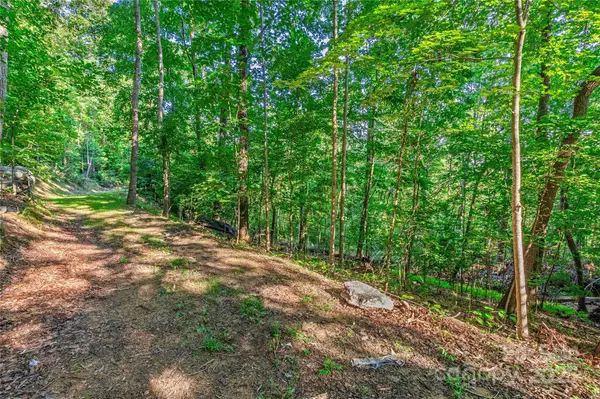 Lot W13 Curtain BLF, Hendersonville, NC 28791