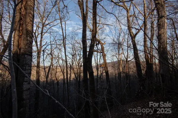 Lot# 22 Autumn RDG #22, Lenoir, NC 28645