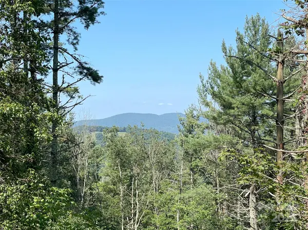 9999 Clouds Rest DR #WR56, Banner Elk, NC 28604