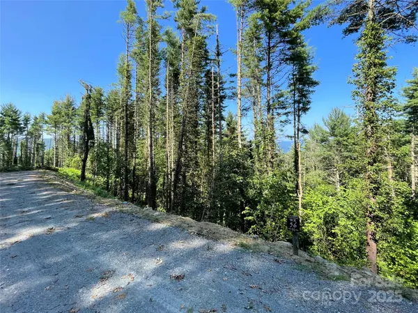 9999 Clouds Rest DR #WR56, Banner Elk, NC 28604