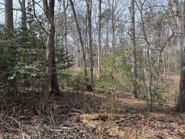 441 Glenbrook Springs None, New London, NC 28127