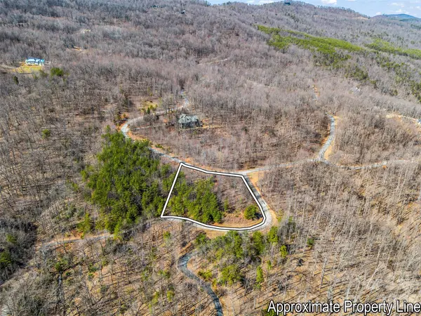190 Cherry Hill None, Mill Spring, NC 28756