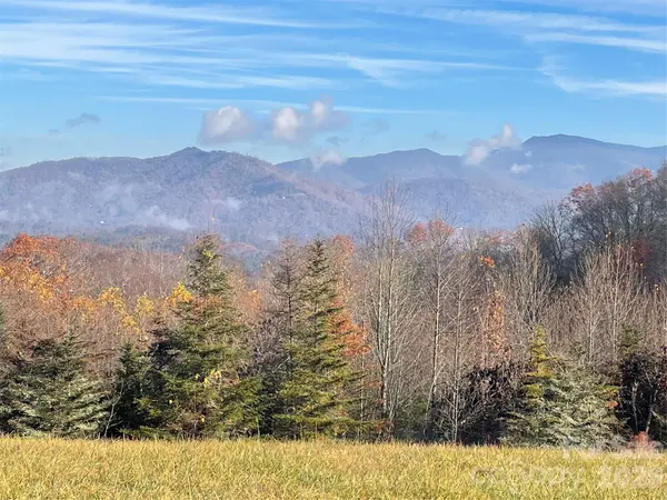 999 Chestnut Mountain DR, Green Mountain, NC 28740