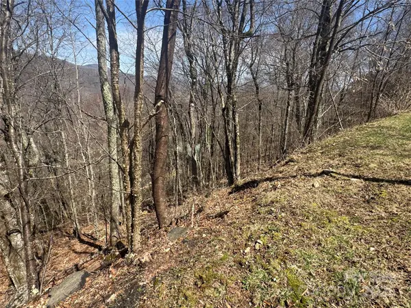 53 & 55 Running Cedar DR, Mars Hill, NC 28754
