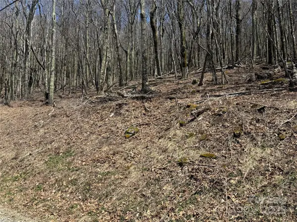 244 & 245 Grouse Thicket LN, Mars Hill, NC 28754