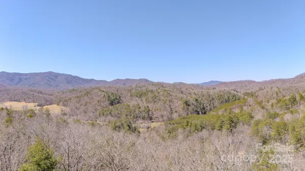TBD Plum Tree Holler DR, Hot Springs, NC 28743