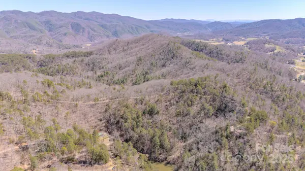 TBD Plum Tree Holler DR, Hot Springs, NC 28743