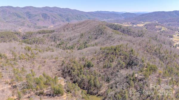 TBD Plum Tree Holler DR, Hot Springs, NC 28743