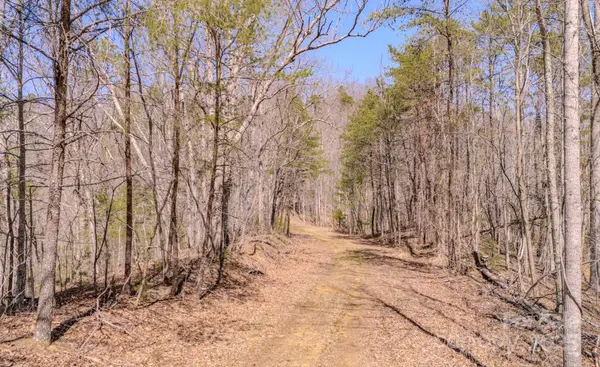 TBD Plum Tree Holler DR, Hot Springs, NC 28743