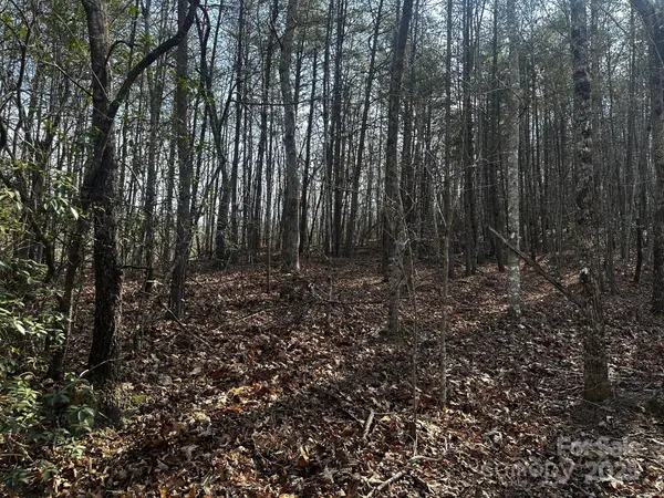 0000 Grassy Knob RD, Lake Lure, NC 28746