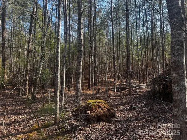 0000 Grassy Knob RD, Lake Lure, NC 28746
