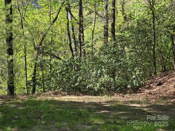 Lot 64 & 65 Walnut LN, Lake Lure, NC 28746