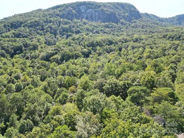 Lot 64 &  65 Walnut LN, Lake Lure, NC 28746