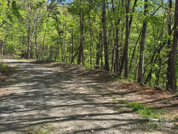 Lot 64 & 65 Walnut LN, Lake Lure, NC 28746