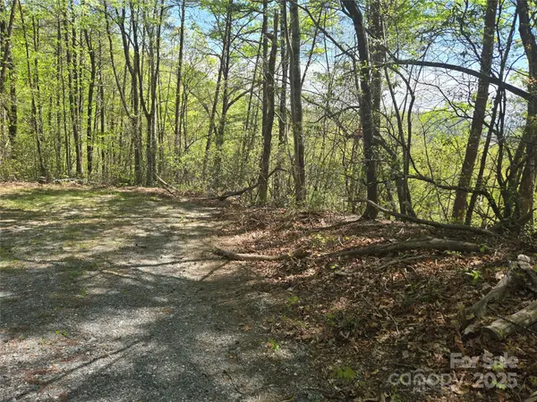Lot 114 Summit CT, Lake Lure, NC 28746