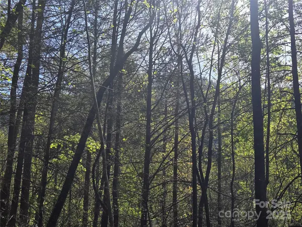 Lot 172 West Lake DR N, Lake Lure, NC 28746