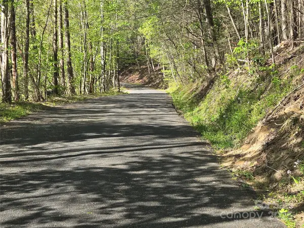 Lot 172 West Lake DR N, Lake Lure, NC 28746