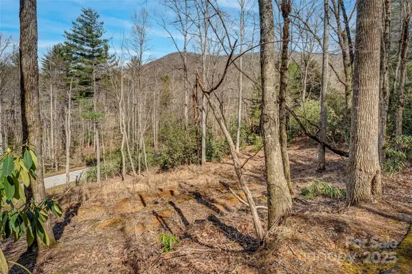 99999 Christa LN #3, Arden, NC 28742