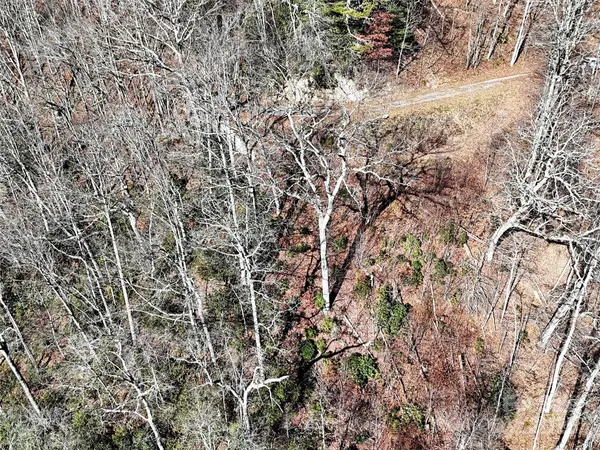 00 Barn Cove RD #61 & 62, Clyde, NC 28721