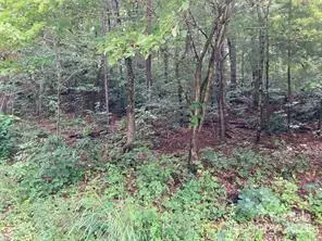 99999 Moffitt Branch RD, Asheville, NC 28805