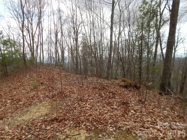 5 Sigogglin TRL, Waynesville, NC 28785