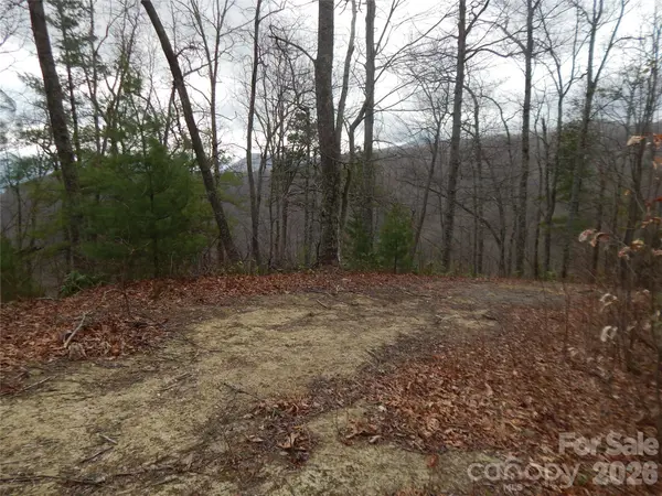 5 Sigogglin TRL, Waynesville, NC 28785