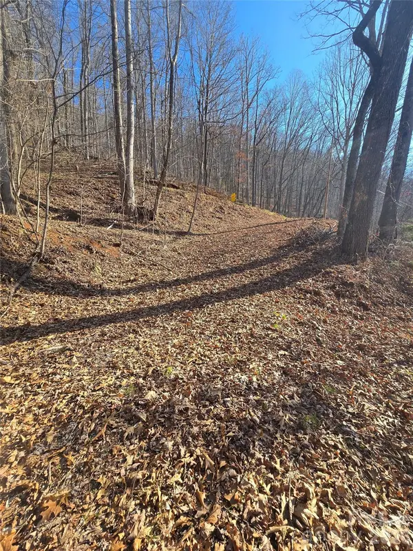 32 Black Mountain RD, Cullowhee, NC 28723