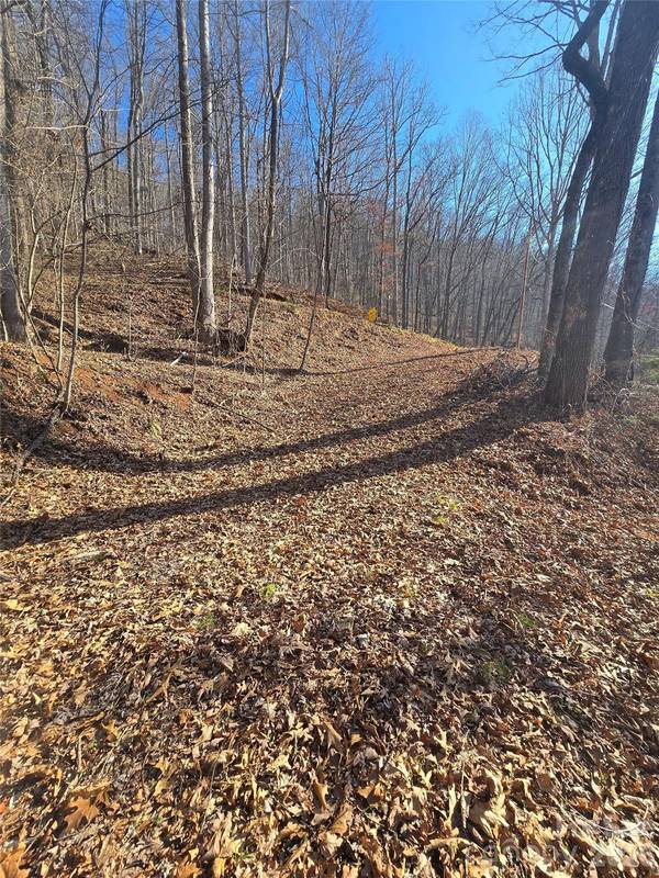 32 Black Mountain RD, Cullowhee, NC 28723
