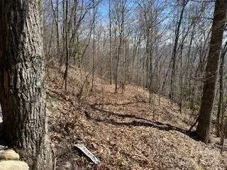 28 Angel RD, Waynesville, NC 28785