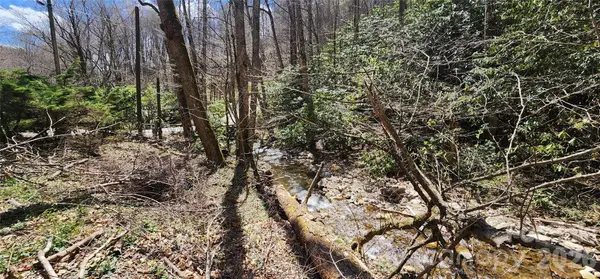 24 Village LN, Waynesville, NC 28786