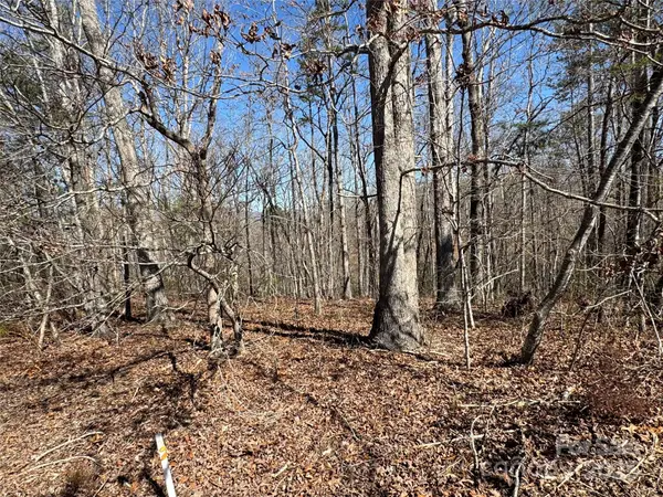 00 Shady Bark LN, Rutherfordton, NC 28139