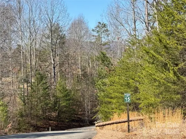 00 Shady Bark LN, Rutherfordton, NC 28139