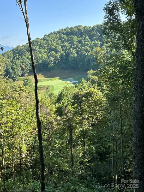 142 Old Growth WAY #58, Sylva, NC 28779