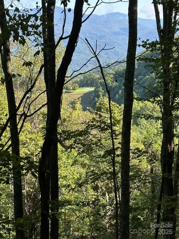 142 Old Growth WAY #58, Sylva, NC 28779