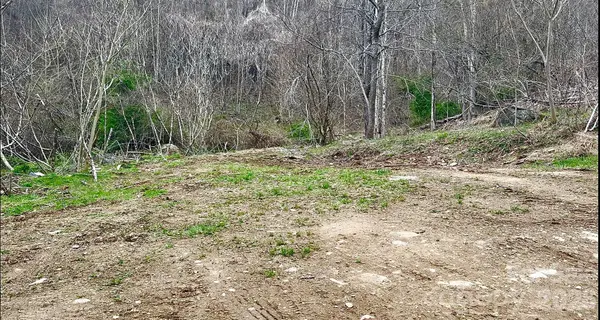 902 Spillcorn RD, Marshall, NC 28753